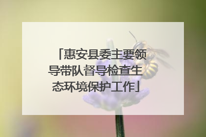 惠安县委主要领导带队督导检查生态环境保护工作