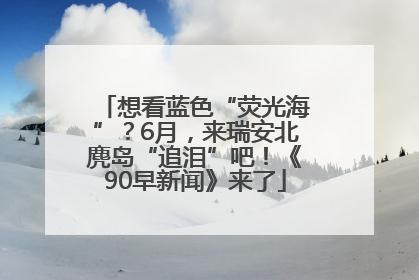 想看蓝色“荧光海”？6月，来瑞安北麂岛“追泪”吧！《90早新闻》来了