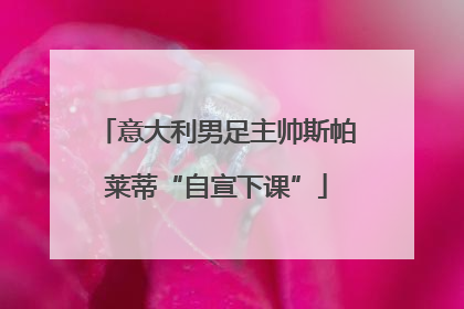 意大利男足主帅斯帕莱蒂“自宣下课”