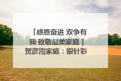 感恩奋进 双争有我·致敬最美家庭｜贺彦霞家庭：银针彩线绣出好日子