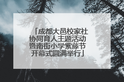 成都大邑校家社协同育人主题活动暨南街小学紫藤节开幕式圆满举行