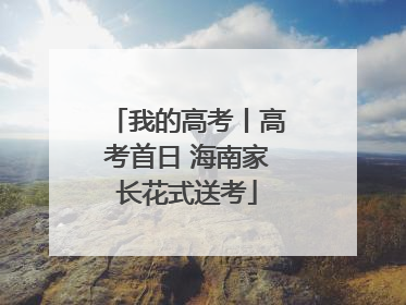 我的高考丨高考首日 海南家长花式送考