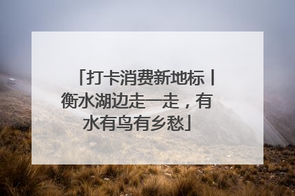 打卡消费新地标丨衡水湖边走一走，有水有鸟有乡愁