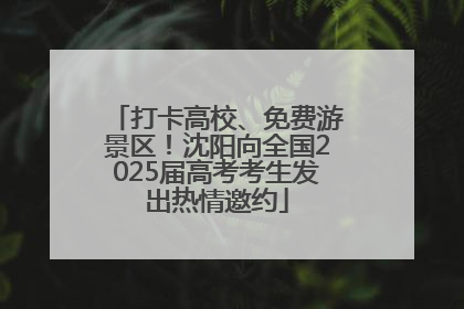打卡高校、免费游景区！沈阳向全国2025届高考考生发出热情邀约