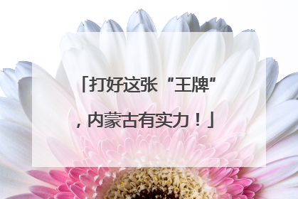 打好这张“王牌”，内蒙古有实力！