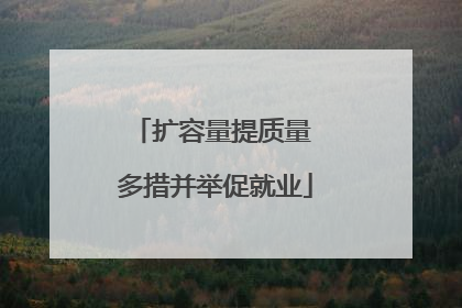 扩容量提质量 多措并举促就业