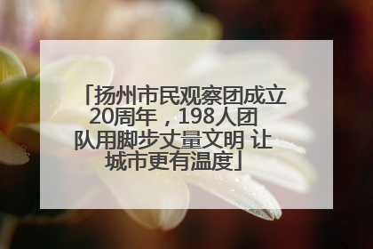扬州市民观察团成立20周年，198人团队用脚步丈量文明 让城市更有温度