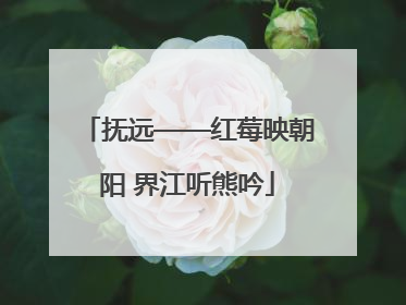 抚远——红莓映朝阳 界江听熊吟