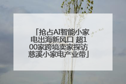 抢占AI智能小家电出海新风口 超100家跨境卖家探访慈溪小家电产业带