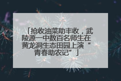 抢收油菜助丰收，武陵源一中数百名师生在黄龙洞生态田园上演“青春助农记”