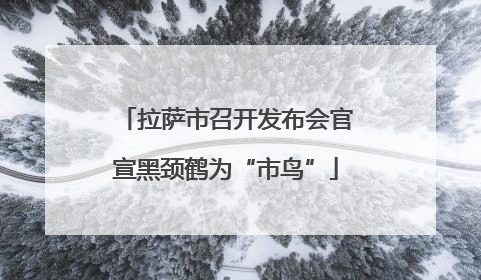 拉萨市召开发布会官宣黑颈鹤为“市鸟”