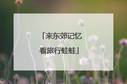 来东郊记忆 看旅行蛙蛙