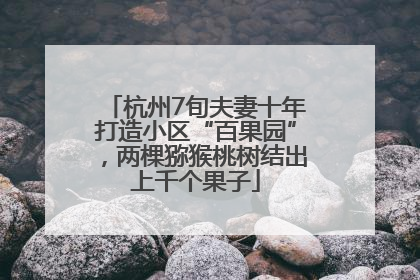 杭州7旬夫妻十年打造小区“百果园”，两棵猕猴桃树结出上千个果子