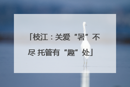 枝江：关爱“暑”不尽 托管有“趣”处