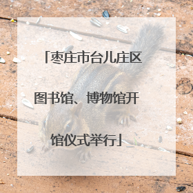 枣庄市台儿庄区图书馆、博物馆开馆仪式举行
