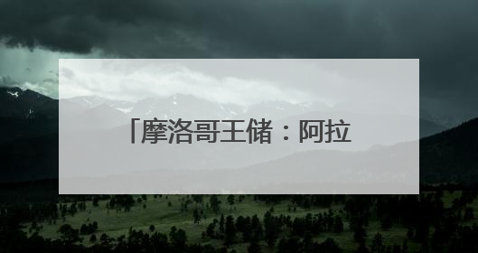 摩洛哥王储：阿拉维王朝低调继承人