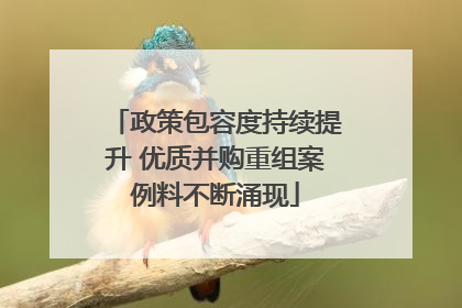 政策包容度持续提升 优质并购重组案例料不断涌现