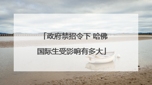 政府禁招令下 哈佛国际生受影响有多大