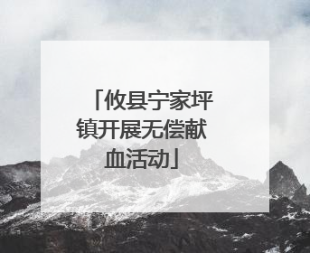 攸县宁家坪镇开展无偿献血活动