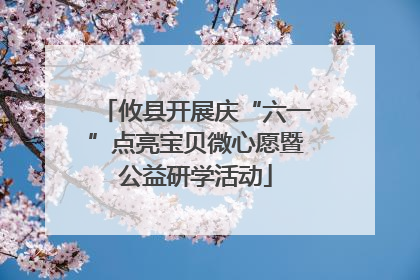 攸县开展庆“六一”点亮宝贝微心愿暨公益研学活动