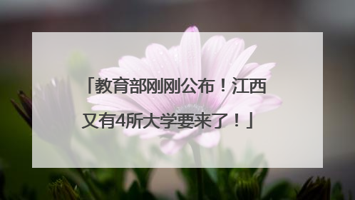 教育部刚刚公布！江西又有4所大学要来了！