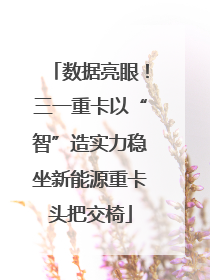 数据亮眼！三一重卡以“智”造实力稳坐新能源重卡头把交椅