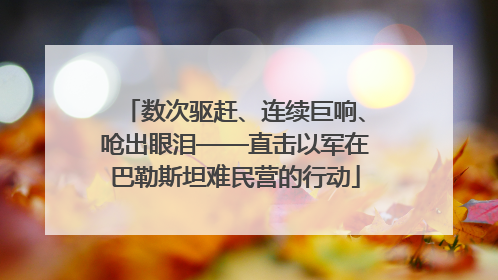数次驱赶、连续巨响、呛出眼泪——直击以军在巴勒斯坦难民营的行动