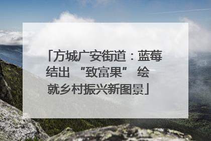方城广安街道：蓝莓结出 “致富果” 绘就乡村振兴新图景