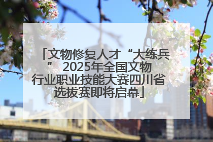 文物修复人才“大练兵” 2025年全国文物行业职业技能大赛四川省选拔赛即将启幕