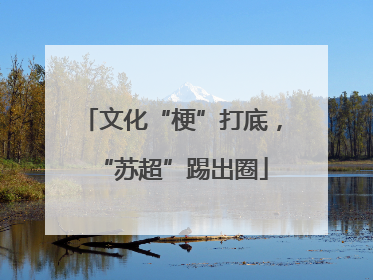 文化“梗”打底，“苏超”踢出圈