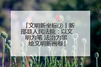 文明新坐标②丨新邵县人民法院：以文明为笔 法治为墨 绘文明新画卷