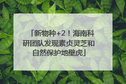 新物种+2！海南科研团队发现素贞灵芝和自然保护地壁虎