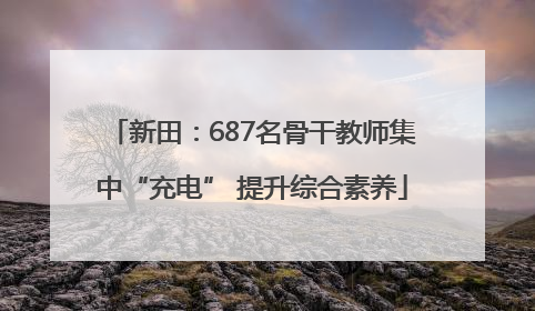 新田：687名骨干教师集中“充电” 提升综合素养