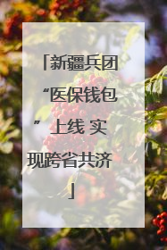 新疆兵团“医保钱包”上线 实现跨省共济