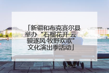 新疆和布克赛尔县举办“石榴花开·云骥逐风·牧野欢歌”文化演出季活动