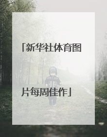 新华社体育图片每周佳作
