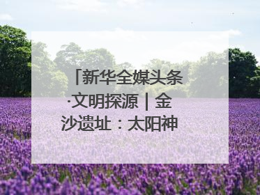 新华全媒头条·文明探源｜金沙遗址：太阳神鸟起飞的地方