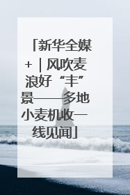 新华全媒+｜风吹麦浪好“丰”景——多地小麦机收一线见闻