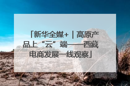 新华全媒+｜高原产品上“云”端——西藏电商发展一线观察