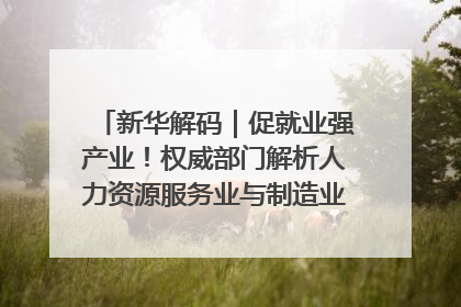 新华解码｜促就业强产业！权威部门解析人力资源服务业与制造业融合发展试点