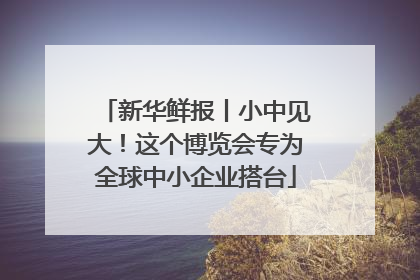 新华鲜报丨小中见大！这个博览会专为全球中小企业搭台