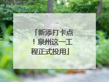 新添打卡点！泉州这一工程正式投用