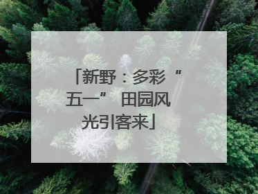 新野：多彩“五一” 田园风光引客来