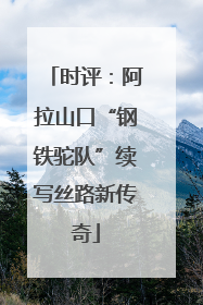 时评：阿拉山口“钢铁驼队”续写丝路新传奇