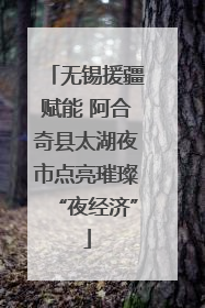 无锡援疆赋能 阿合奇县太湖夜市点亮璀璨“夜经济”