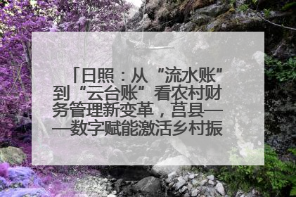 日照：从“流水账”到“云台账”看农村财务管理新变革，莒县——数字赋能激活乡村振兴“一池春水”