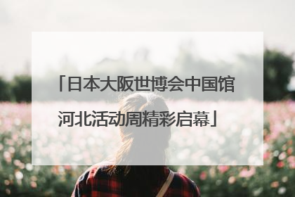 日本大阪世博会中国馆河北活动周精彩启幕