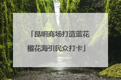 昆明商场打造蓝花楹花海引民众打卡
