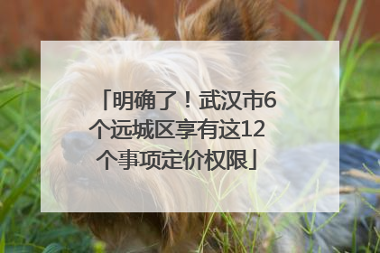 明确了！武汉市6个远城区享有这12个事项定价权限