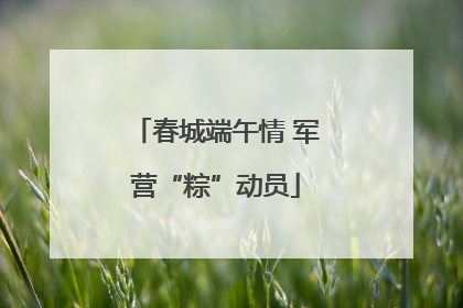 春城端午情 军营“粽”动员